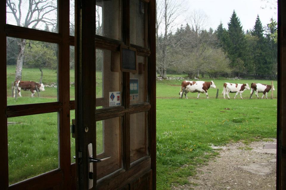 Auberge De La Perdrix Hauterive-la-Fresse Exterior foto
